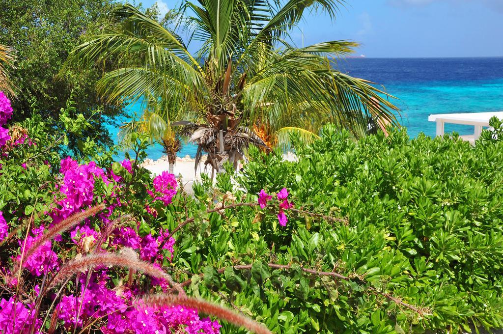 Hilltop Sea View , Boca Gentil Willemstad Eksteriør bilde