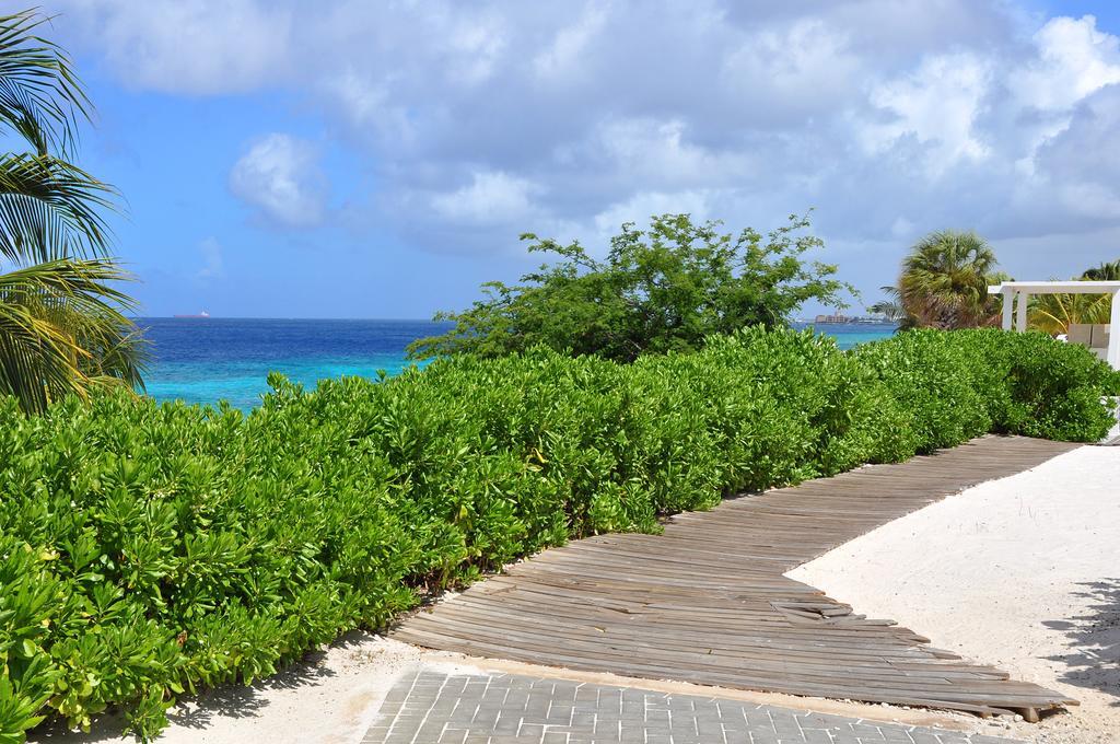 Hilltop Sea View , Boca Gentil Willemstad Eksteriør bilde